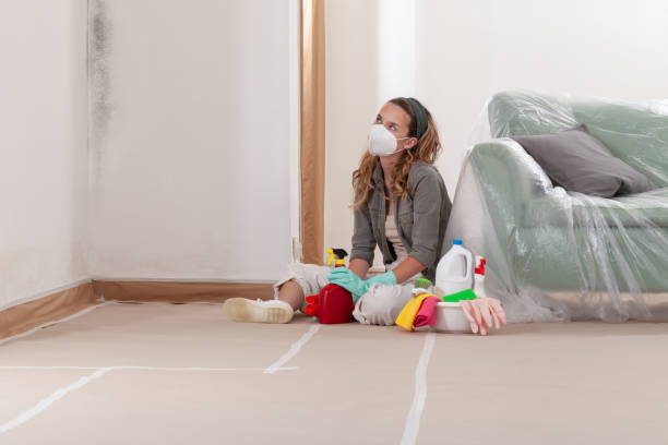 Reliable Basement Mold Remediation contractor in Manchester, MI by Car Mold Remediation